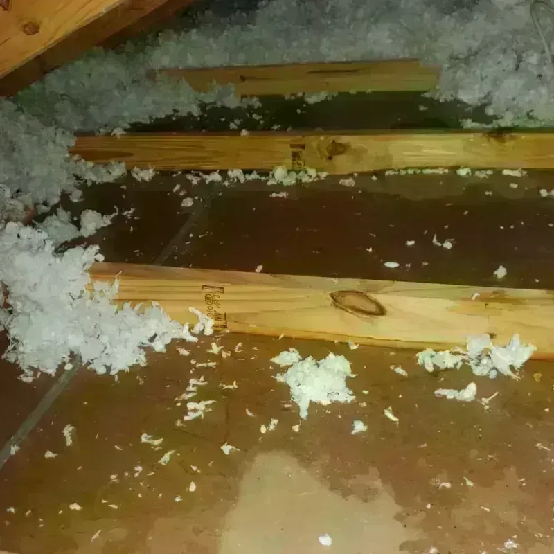 Attic Water Damage in Amherst, VA