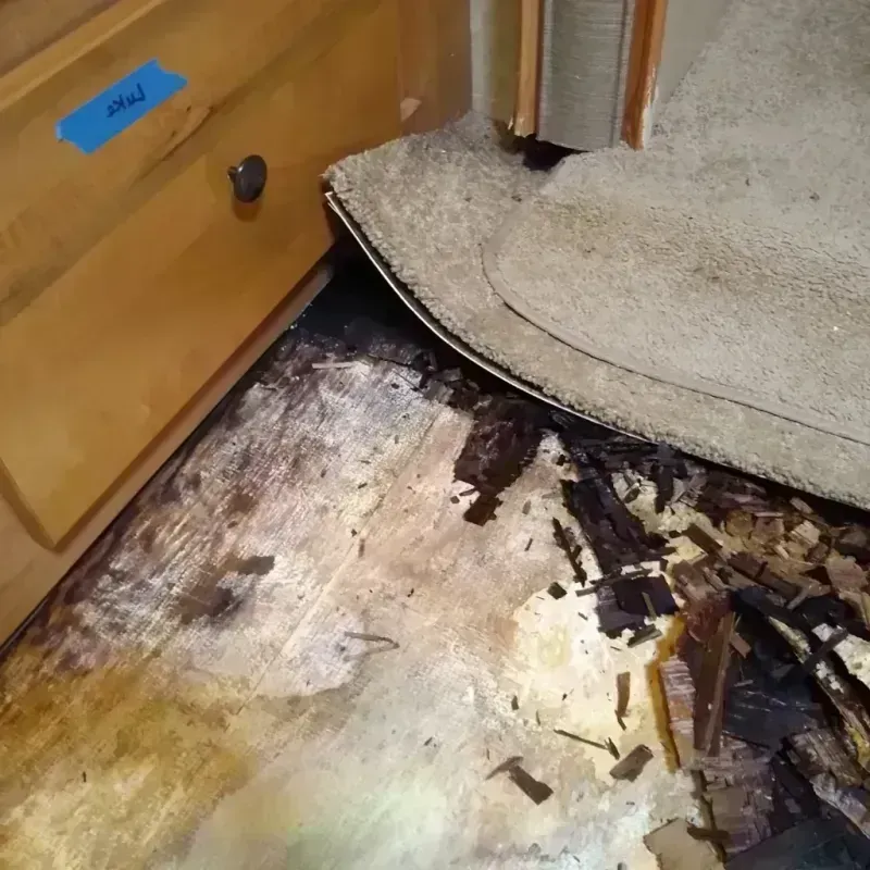 Wood Floor Water Damage in Amherst, VA